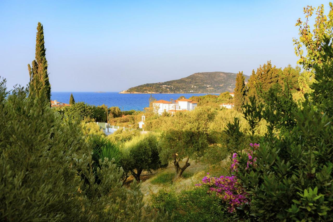 Kedros Hotel Samos Island Exterior photo